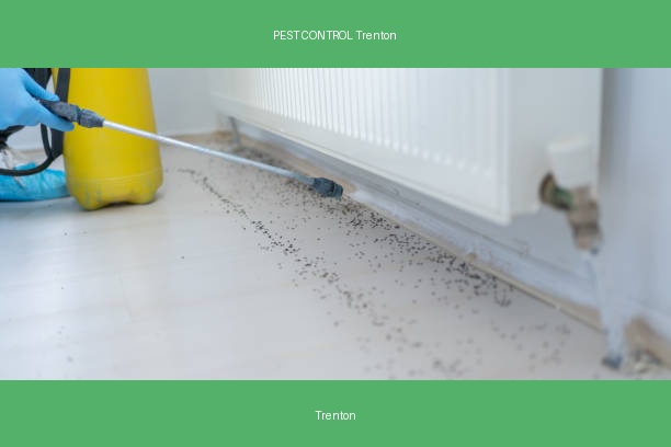 PEST CONTROL Trenton